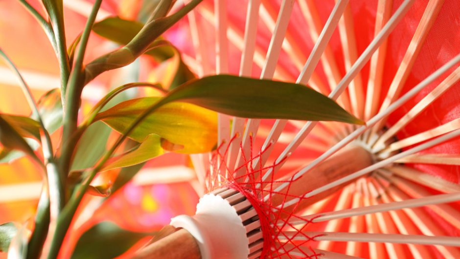 Plante tropicale care adaugă o notă exotică camerei