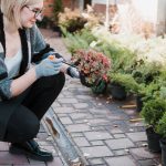 Cum să alegi plantele ideale pentru o grădină cu pietre