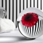 Cele mai frumoase idei pentru decor în alb și negru