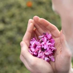 Bakuchiolul: Alternativă blândă sau ingredient complet diferit de retinol?