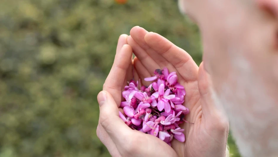 Bakuchiolul: Alternativă blândă sau ingredient complet diferit de retinol?
