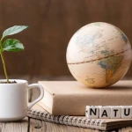 Materialele naturale și sintetice: Avantaje și compromisuri în viața reală