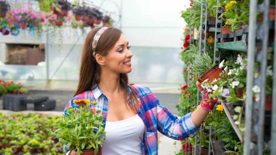 Straturile înălțate: Avantaje pentru legume și plante aromatice